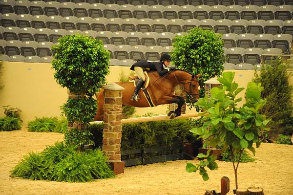 USHJA-Derby-8-20-10-DER_7620-QRnd1-Lavasco-PaigeBrodbeck-DDeRosaPhoto.jpg