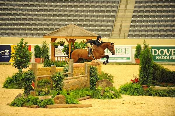 USHJA-Derby-8-20-10-DER_7623-QRnd1-Lavasco-PaigeBrodbeck-DDeRosaPhoto.jpg