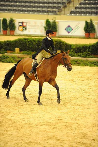 USHJA-Derby-8-20-10-DER_7628-QRnd1-Lavasco-PaigeBrodbeck-DDeRosaPhoto.jpg