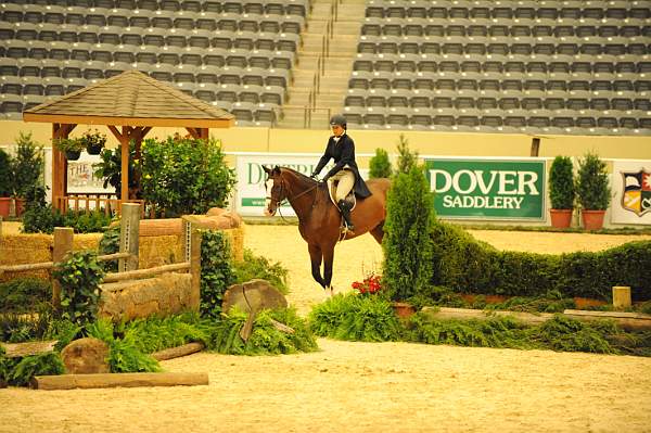 USHJA-Derby-8-20-10-DER_7633-QRnd1-Valient-TammyProvost-DDeRosaPhoto.jpg