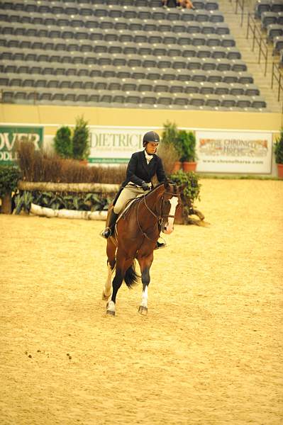 USHJA-Derby-8-20-10-DER_7634-QRnd1-Valient-TammyProvost-DDeRosaPhoto.jpg