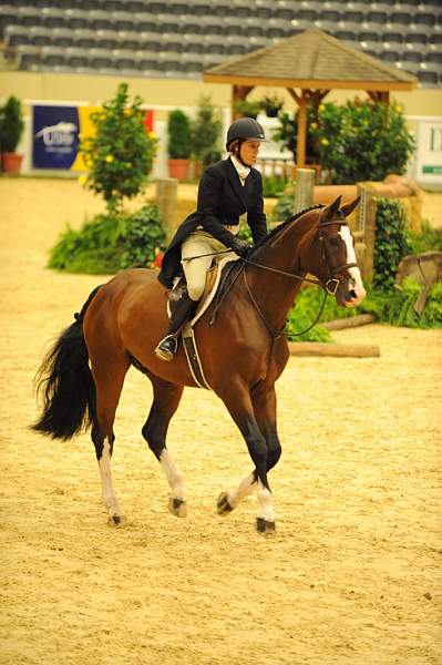 USHJA-Derby-8-20-10-DER_7635-QRnd1-Valient-TammyProvost-DDeRosaPhoto.jpg