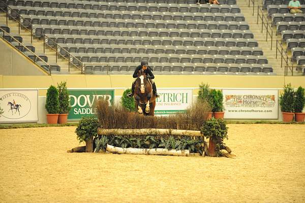 USHJA-Derby-8-20-10-DER_7640-QRnd1-Valient-TammyProvost-DDeRosaPhoto.jpg