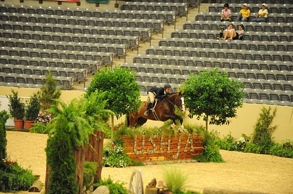 USHJA-Derby-8-20-10-DER_7645-QRnd1-Valient-TammyProvost-DDeRosaPhoto.jpg