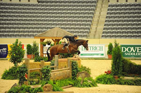 USHJA-Derby-8-20-10-DER_7650-QRnd1-Valient-TammyProvost-DDeRosaPhoto.jpg