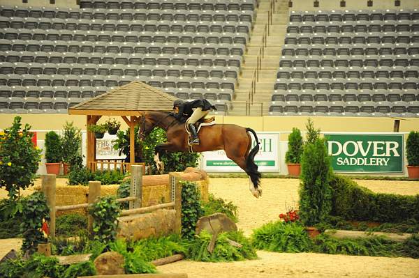 USHJA-Derby-8-20-10-DER_7653-QRnd1-Valient-TammyProvost-DDeRosaPhoto.jpg