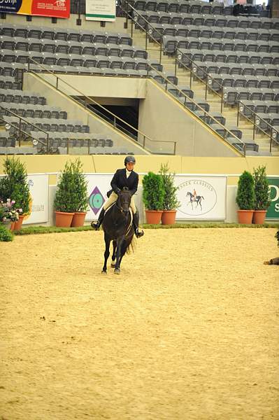 USHJA-Derby-8-20-10-DER_7669-QRnd7669-Ebony-RachelKennedy-DDeRosaPhoto.jpg