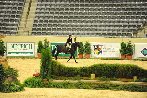 USHJA-Derby-8-20-10-DER_7680-QRnd1-Ebony-RachelKennedy-DDeRosaPhoto.jpg