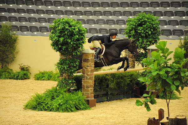 USHJA-Derby-8-20-10-DER_7682-QRnd1-Ebony-RachelKennedy-DDeRosaPhoto.jpg