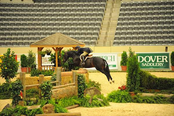 USHJA-Derby-8-20-10-DER_7688-QRnd1-Ebony-RachelKennedy-DDeRosaPhoto.jpg