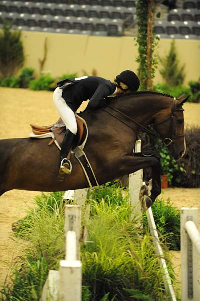 USHJA-Derby-8-20-10-DER_7758-QRnd1-Enjoy-AshleyRomano-DDeRosaPhoto.jpg