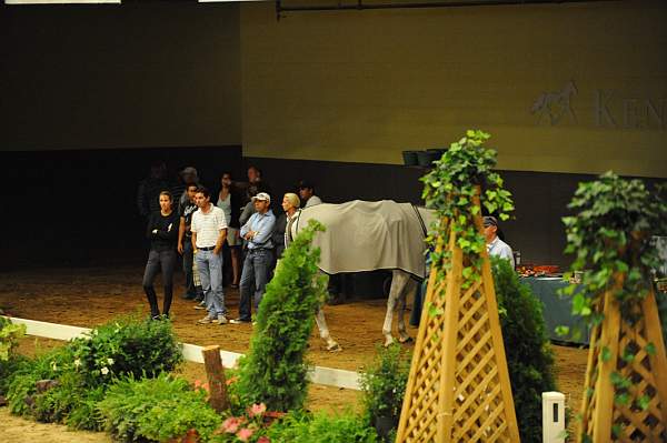 USHJA-Derby-8-20-10-DER_7771-QRnd1-DDeRosaPhoto.jpg