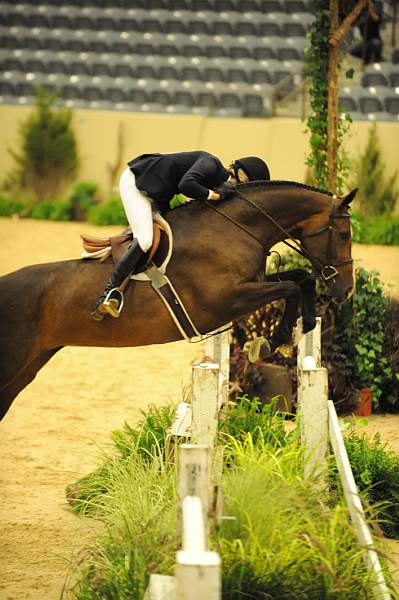 USHJA-Derby-8-20-10-DER_7778-QRnd1-Enjoy-AshleyRomano-DDeRosaPhoto.jpg