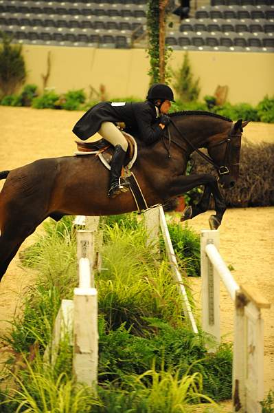 USHJA-Derby-8-20-10-DER_7822-QRnd1-YesIndeed-SarahMechlin-DDeRosaPhoto.jpg