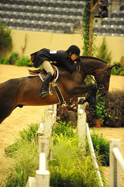 USHJA-Derby-8-20-10-DER_7827-QRnd1-YesIndeed-SarahMechlin-DDeRosaPhoto.jpg