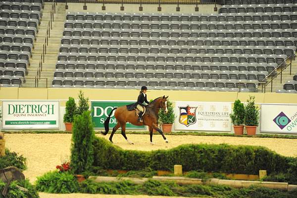 USHJA-Derby-8-20-10-DER_7858-QRnd1-Accord-KirstieDobbs-DDeRosaPhoto.jpg