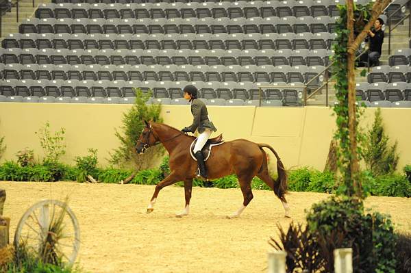 USHJA-Derby-8-20-10-DER_7944-QRnd1-Alamo-ChaseBoggio-DDeRosaPhoto.jpg