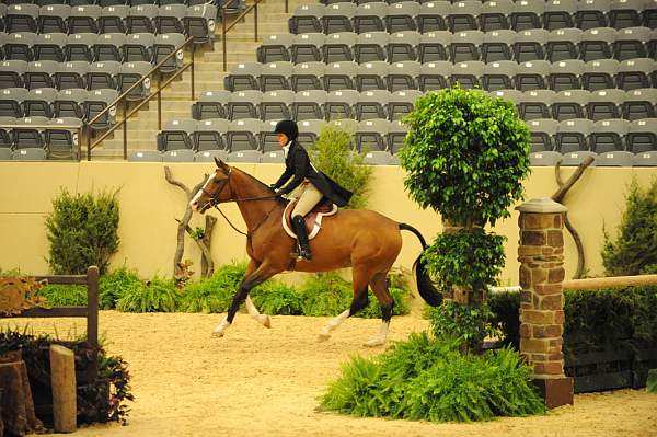 USHJA-Derby-8-20-10-DER_7994-QRnd1-Onassis-SarahWard-DDeRosaPhoto.jpg