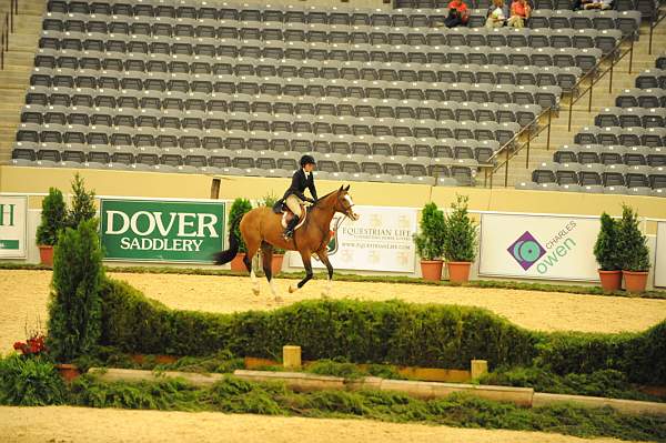 USHJA-Derby-8-20-10-DER_7996-QRnd1-Onassis-SarahWard-DDeRosaPhoto.jpg