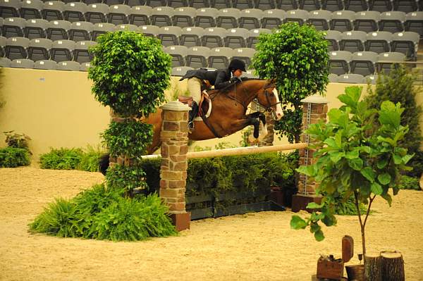 USHJA-Derby-8-20-10-DER_7998-QRnd1-Onassis-SarahWard-DDeRosaPhoto.jpg