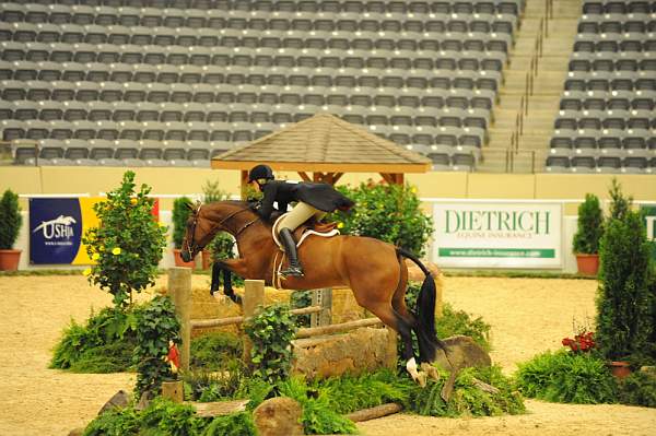 USHJA-Derby-8-20-10-DER_8021-QRnd1-BestMan-MelissaDoddridge-DDeRosaPhoto.jpg