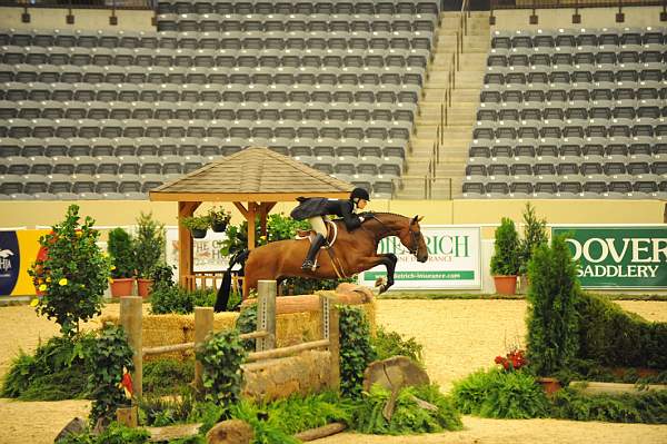 USHJA-Derby-8-20-10-DER_8025-QRnd1-BestMan-MelissaDoddridge-DDeRosaPhoto.jpg