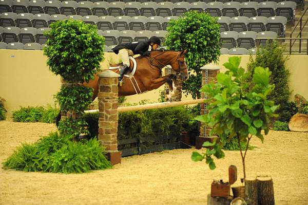 USHJA-Derby-8-20-10-DER_8045-QRnd1-BasesLoaded-KelleyFarmer-DDeRosaPhoto.jpg