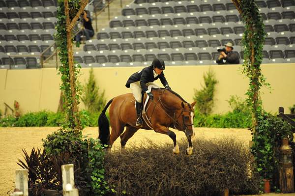 USHJA-Derby-8-20-10-DER_8051-QRnd1-BasesLoaded-KelleyFarmer-DDeRosaPhoto.jpg