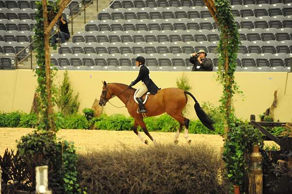 USHJA-Derby-8-20-10-DER_8052-QRnd1-BasesLoaded-KelleyFarmer-DDeRosaPhoto.jpg