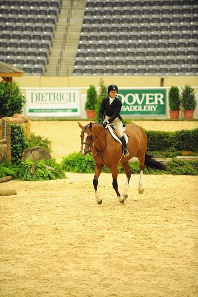 USHJA-Derby-8-20-10-DER_8055-QRnd1-BasesLoaded-KelleyFarmer-DDeRosaPhoto.jpg