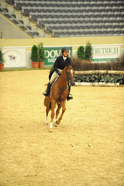 USHJA-Derby-8-20-10-DER_8064-QRnd1-SugarBoy-TammyProvost-DDeRosaPhoto.jpg