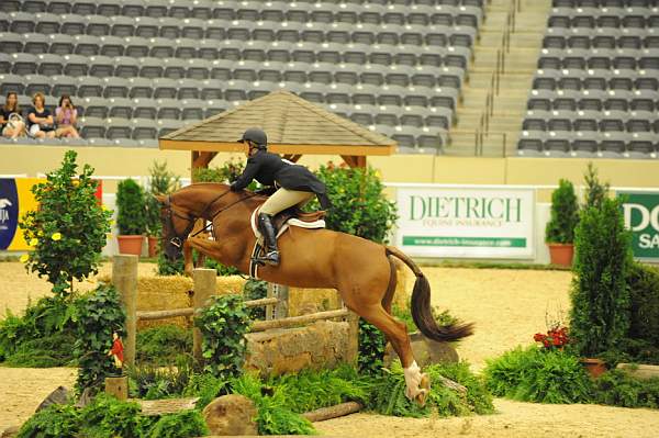 USHJA-Derby-8-20-10-DER_8069-QRnd1-SugarBoy-TammyProvost-DDeRosaPhoto.jpg