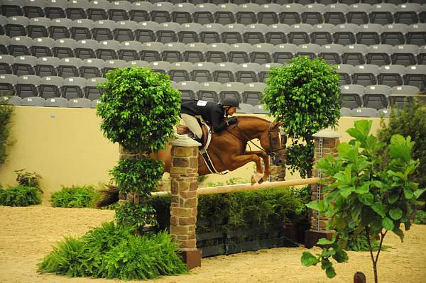 USHJA-Derby-8-20-10-DER_8071-QRnd1-SugarBoy-TammyProvost-DDeRosaPhoto.jpg