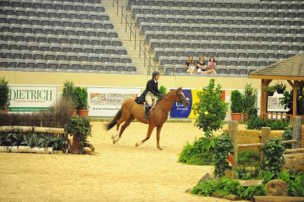 USHJA-Derby-8-20-10-DER_8076-QRnd1-SugarBoy-TammyProvost-DDeRosaPhoto.jpg