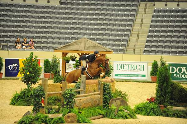 USHJA-Derby-8-20-10-DER_8077-QRnd1-SugarBoy-TammyProvost-DDeRosaPhoto.jpg