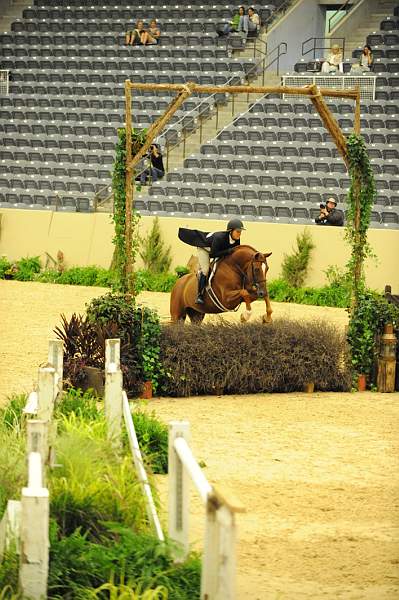 USHJA-Derby-8-20-10-DER_8078-QRnd1-SugarBoy-TammyProvost-DDeRosaPhoto.jpg