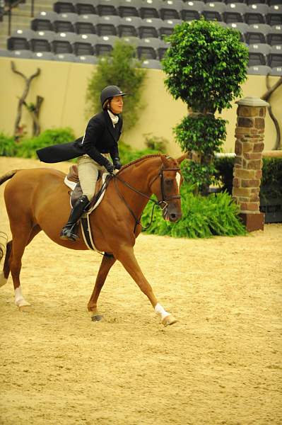 USHJA-Derby-8-20-10-DER_8079-QRnd1-SugarBoy-TammyProvost-DDeRosaPhoto.jpg