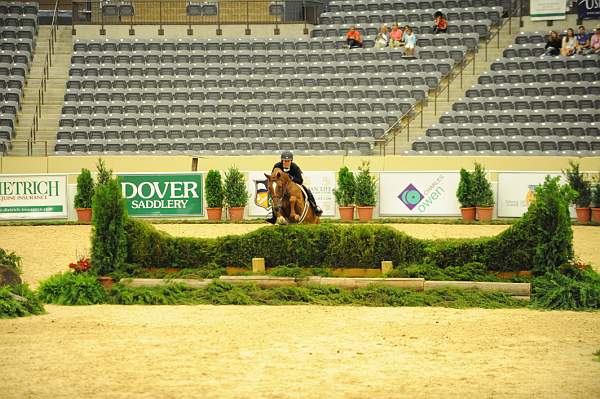 USHJA-Derby-8-20-10-DER_8080-QRnd1-SugarBoy-TammyProvost-DDeRosaPhoto.jpg