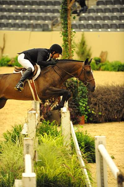 USHJA-Derby-8-20-10-DER_8120-QRnd1-Dominick-PeterPletcher-DDeRosaPhoto.jpg