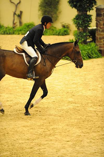 USHJA-Derby-8-20-10-DER_8121-QRnd1-Dominick-PeterPletcher-DDeRosaPhoto.jpg