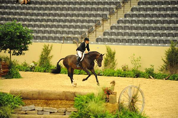 USHJA-Derby-8-20-10-DER_8146-QRnd1-Blackstone-TomBrennan-DDeRosaPhoto.jpg