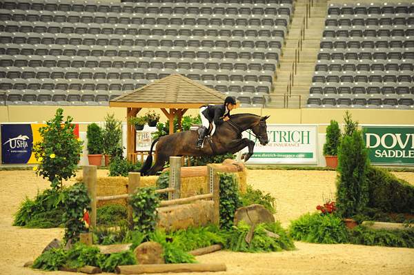 USHJA-Derby-8-20-10-DER_8150-QRnd1-Blackstone-TomBrennan-DDeRosaPhoto.jpg