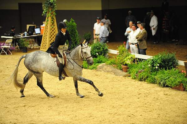 USHJA-Derby-8-20-10-DER_8167-QRnd1-CoolBoy-AbigailBlankenship-DDeRosaPhoto.jpg