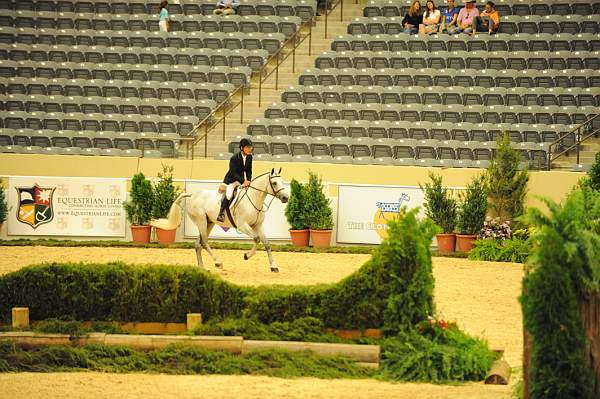 USHJA-Derby-8-20-10-DER_8310-QRnd1-C.Quito-JohnFrench-DDeRosaPhoto.jpg