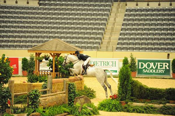 USHJA-Derby-8-20-10-DER_8321-QRnd1-C.Quito-JohnFrench-DDeRosaPhoto.jpg