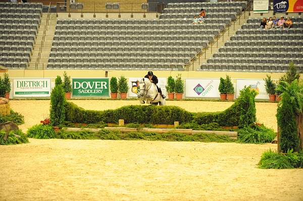 USHJA-Derby-8-20-10-DER_8322-QRnd1-C.Quito-JohnFrench-DDeRosaPhoto.jpg