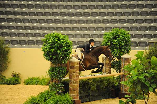 USHJA-Derby-8-20-10-DER_8345-QRnd1-DailyDevotion-JessicaWarren-DDeRosaPhoto.jpg