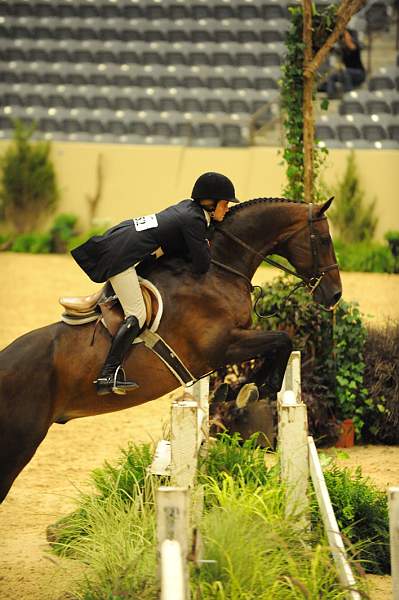 USHJA-Derby-8-20-10-DER_8354-QRnd1-DailyDevotion-JessicaWarren-DDeRosaPhoto.jpg