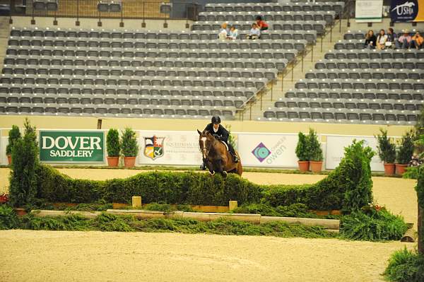 USHJA-Derby-8-20-10-DER_8382-QRnd1-Primera-CatherineRinehart-DDeRosaPhoto.jpg