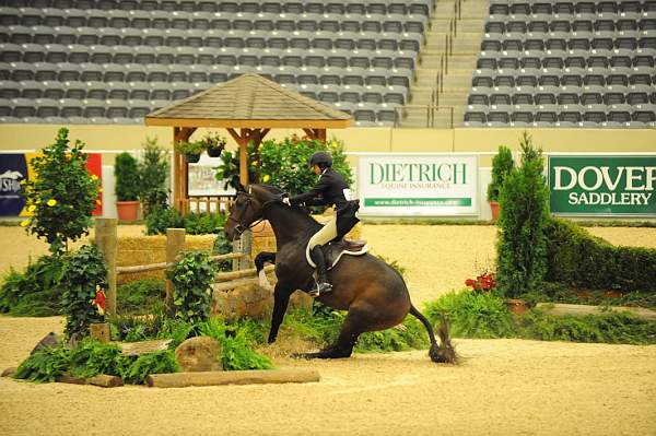 USHJA-Derby-8-20-10-DER_8517-QRnd1-Apparition-JordanSiegel-DDeRosaPhoto.jpg